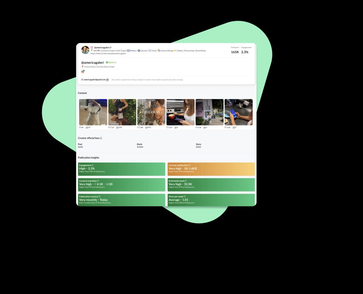 Detailed view of an influencer list export with extended information